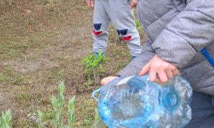 Dzień Polskiej Niezapominajki 15.05.2025 - Zdjęcie 39