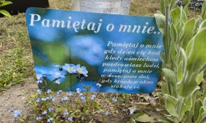 Dzień Polskiej Niezapominajki 15.05.2025 - Zdjęcie 51