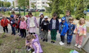 Dzień Polskiej Niezapominajki 15.05.2025 - Zdjęcie 60
