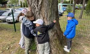 Dzień Polskiej Niezapominajki 15.05.2025 - Zdjęcie 89