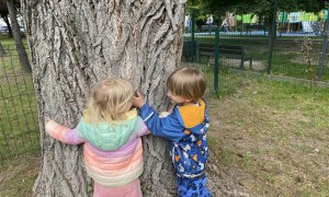 Dzień Polskiej Niezapominajki 15.05.2025 - Zdjęcie 91