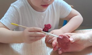 Dzień Polskiej Niezapominajki 15.05.2025 - Zdjęcie 102