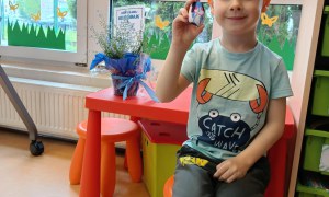 Dzień Polskiej Niezapominajki 15.05.2025 - Zdjęcie 106