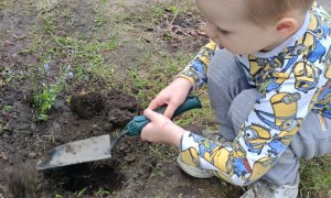 Dzień Polskiej Niezapominajki 15.05.2025 - Zdjęcie 130