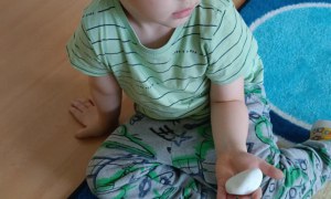 Dzień Polskiej Niezapominajki 15.05.2025 - Zdjęcie 137