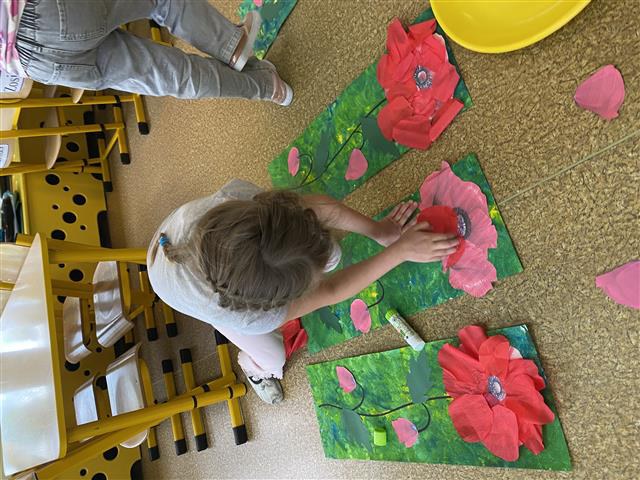 Misie: Maj 2025 - Zdjęcie 148