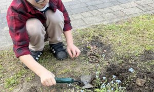 Tygryski: Maj 2025 - Zdjęcie 48
