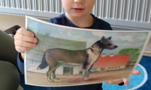 Jeżyki: Maj 2025 - Zdjęcie 18