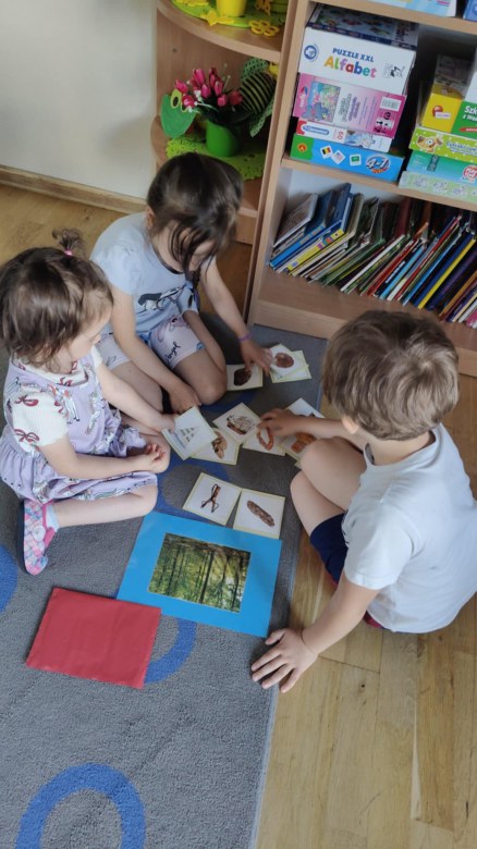 Żabki: Czerwiec 2025 - Zdjęcie 107