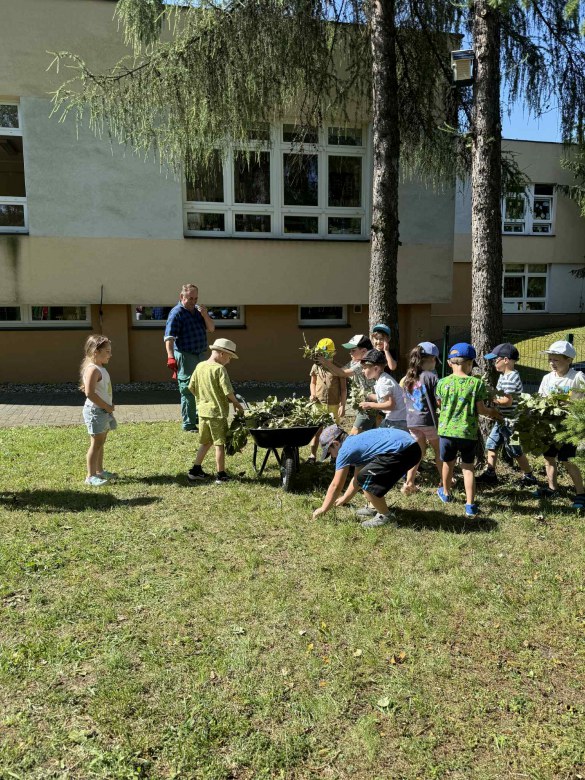 Żabki: Czerwiec 2025 - Zdjęcie 99