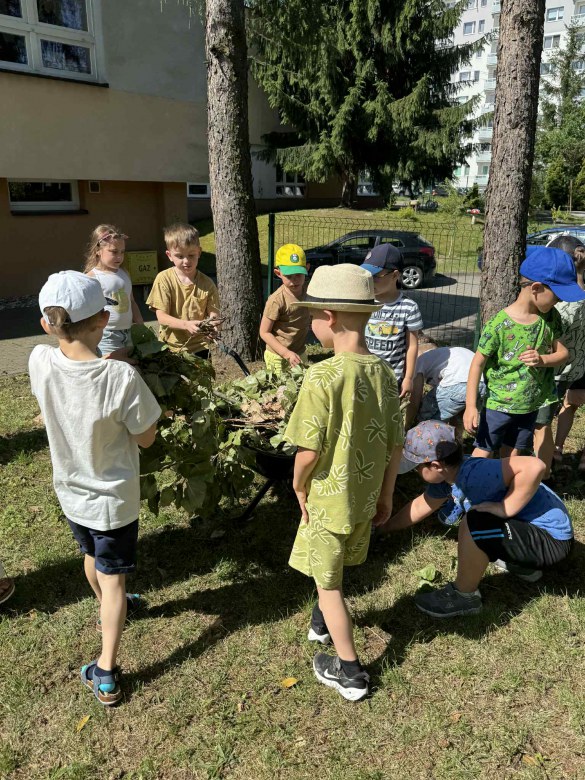Żabki: Czerwiec 2025 - Zdjęcie 133