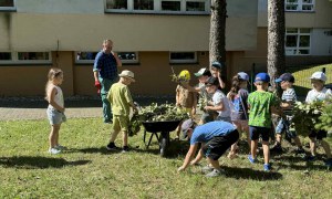 Żabki: Czerwiec 2025 - Zdjęcie 99