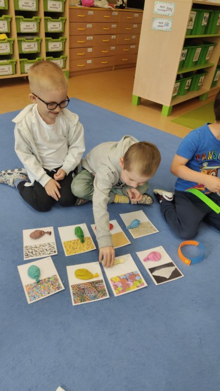Sówki:Czerwiec 2025 - Zdjęcie 4