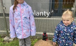 Misie w Domu Kultury -Wystawa Galerii 