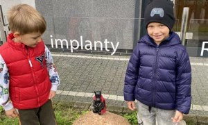 Misie w Domu Kultury -Wystawa Galerii 