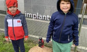 Misie w Domu Kultury -Wystawa Galerii 