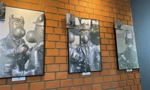 Misie w Domu Kultury -Wystawa Galerii 