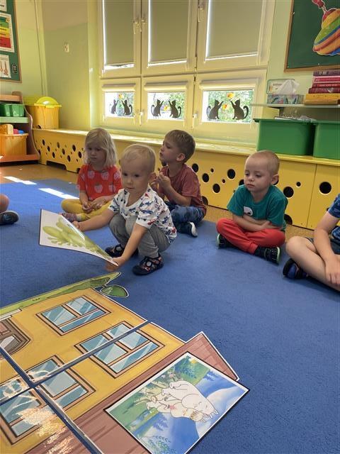 Misie: Wrzesień 2025 - Zdjęcie 8