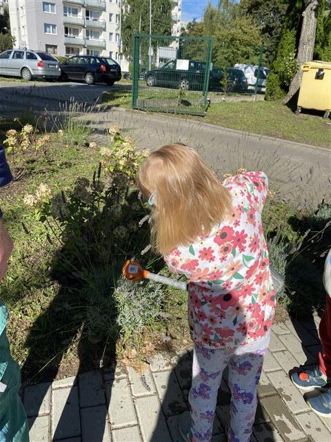 Misie: Wrzesień 2025 - Zdjęcie 66