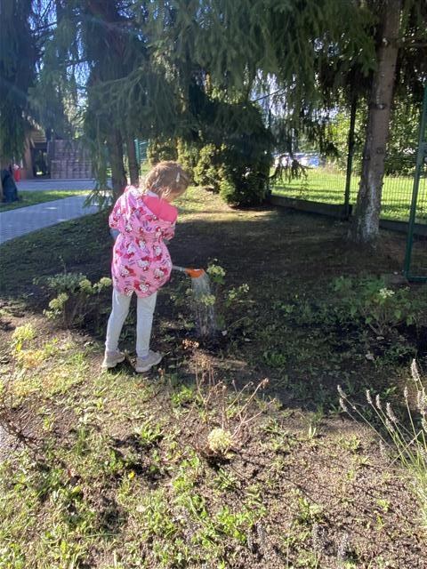 Misie: Wrzesień 2025 - Zdjęcie 69