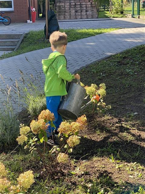 Misie: Wrzesień 2025 - Zdjęcie 70