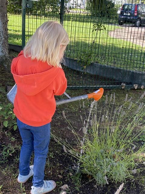 Misie: Wrzesień 2025 - Zdjęcie 76