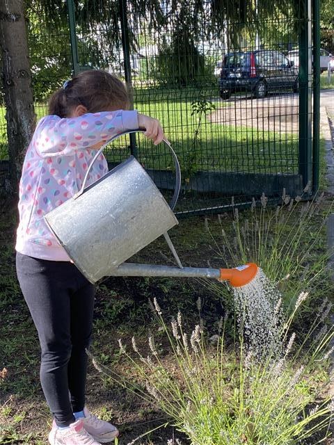 Misie: Wrzesień 2025 - Zdjęcie 77