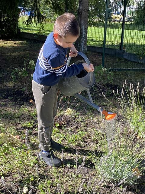 Misie: Wrzesień 2025 - Zdjęcie 79