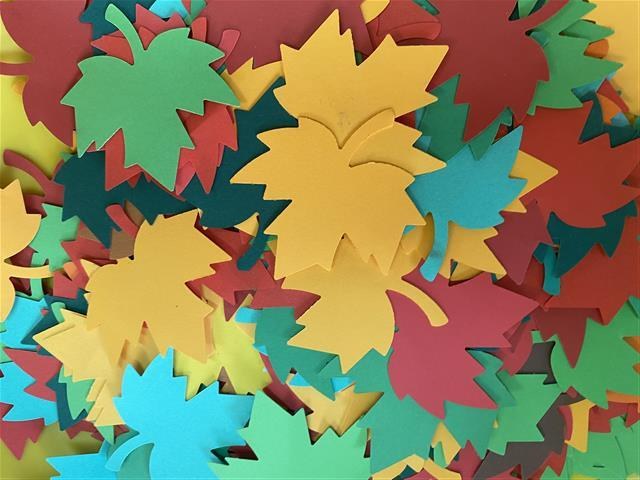 Misie: Wrzesień 2025 - Zdjęcie 118