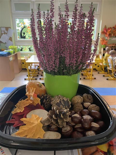 Misie: Wrzesień 2025 - Zdjęcie 136