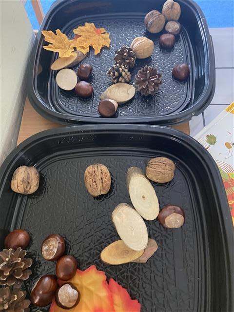 Misie: Wrzesień 2025 - Zdjęcie 137