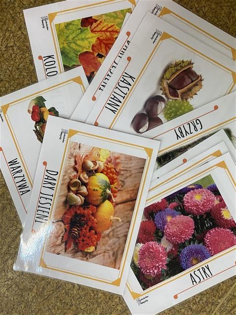 Misie: Wrzesień 2025 - Zdjęcie 138