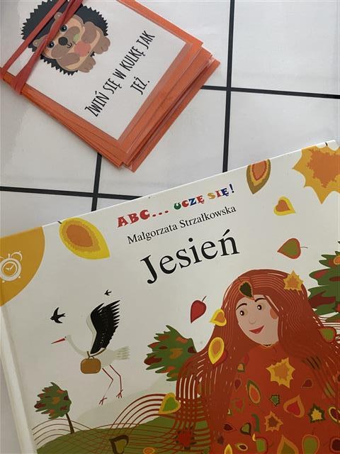 Misie: Wrzesień 2025 - Zdjęcie 139