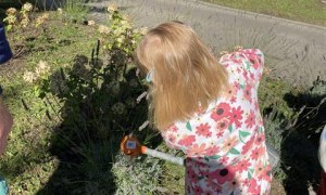 Misie: Wrzesień 2025 - Zdjęcie 66