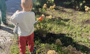 Misie: Wrzesień 2025 - Zdjęcie 67