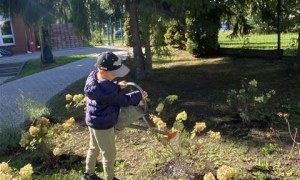 Misie: Wrzesień 2025 - Zdjęcie 68