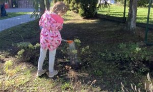 Misie: Wrzesień 2025 - Zdjęcie 69