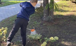 Misie: Wrzesień 2025 - Zdjęcie 71