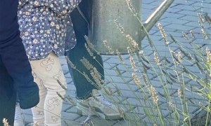 Misie: Wrzesień 2025 - Zdjęcie 72