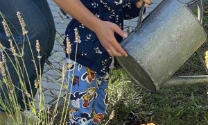 Misie: Wrzesień 2025 - Zdjęcie 73