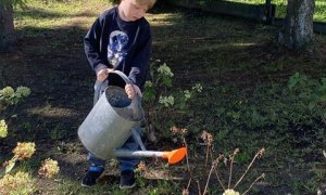 Misie: Wrzesień 2025 - Zdjęcie 74