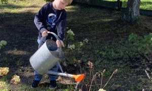 Misie: Wrzesień 2025 - Zdjęcie 75