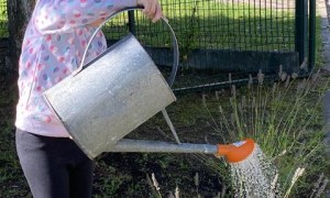 Misie: Wrzesień 2025 - Zdjęcie 77