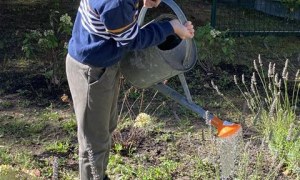 Misie: Wrzesień 2025 - Zdjęcie 79