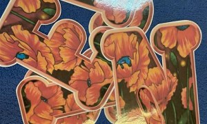 Misie: Wrzesień 2025 - Zdjęcie 109