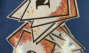 Misie: Wrzesień 2025 - Zdjęcie 117