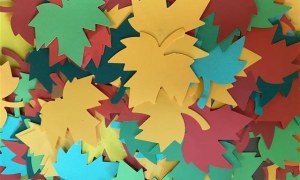 Misie: Wrzesień 2025 - Zdjęcie 118