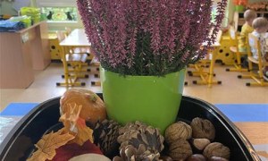 Misie: Wrzesień 2025 - Zdjęcie 136