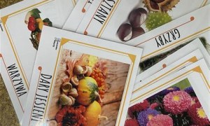 Misie: Wrzesień 2025 - Zdjęcie 138