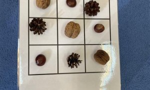 Misie: Wrzesień 2025 - Zdjęcie 158